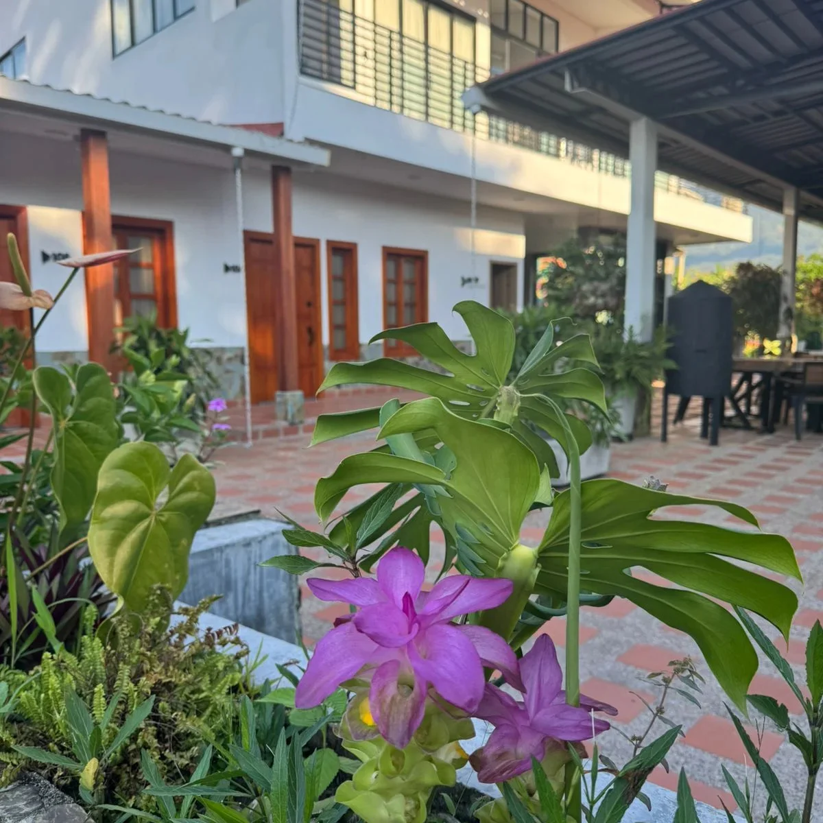 jardín alma nativa
